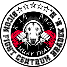 BFC Hrádek nad Nisou - logo
